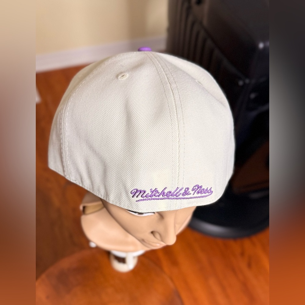 Gorgeous Toronto Raptors Cap !!! - Picture 4 of 8